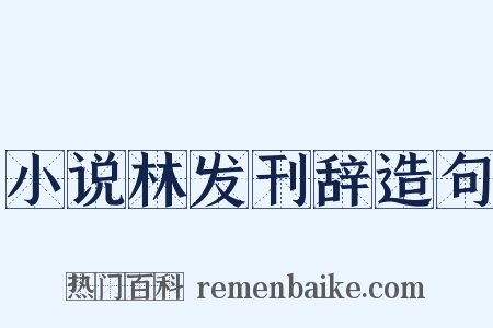 小说林发刊辞造句是什么意思的图片
